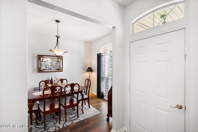 foyer entrance with dark wood-type flooring