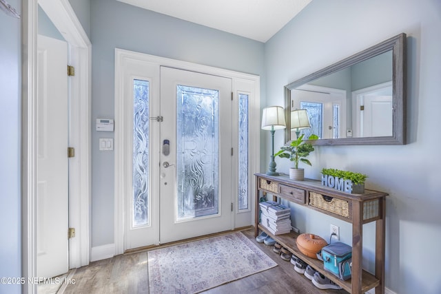 foyer featuring hardwood / wood-style flooring and a healthy amount of sunlight