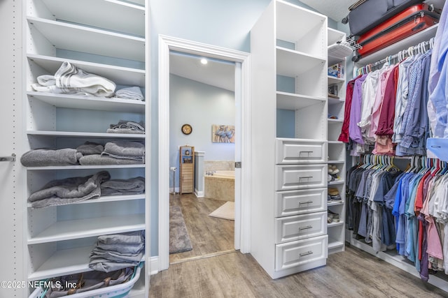 walk in closet with hardwood / wood-style floors