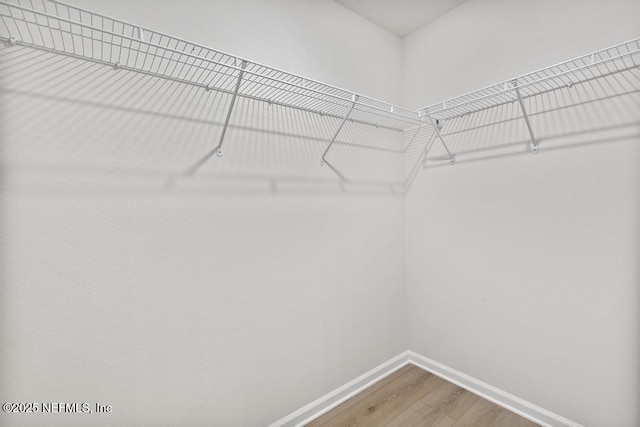 walk in closet featuring wood-type flooring