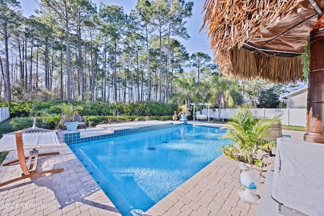 view of pool with a patio area