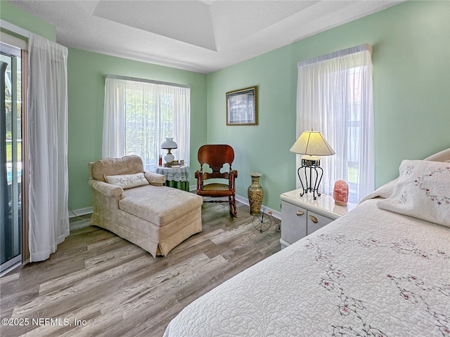 bedroom featuring a raised ceiling, light hardwood / wood-style flooring, and multiple windows