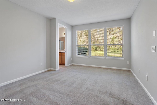 unfurnished room with a textured ceiling and light colored carpet