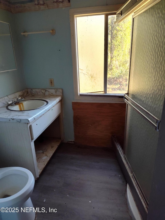 bathroom with hardwood / wood-style flooring and vanity