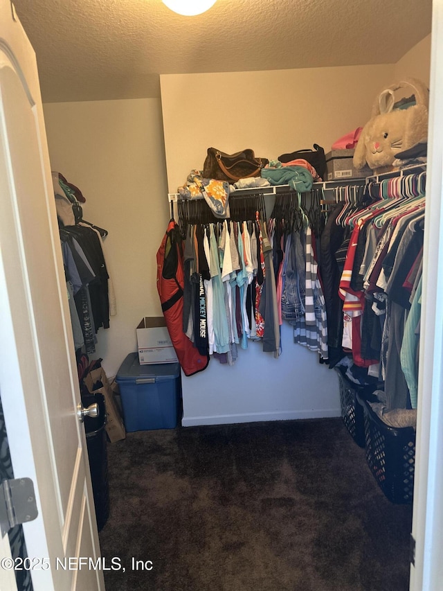 walk in closet featuring dark carpet