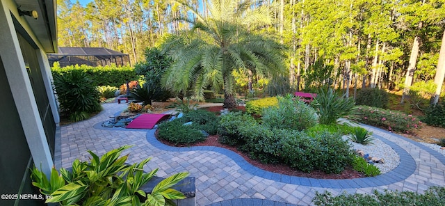 view of yard with a lanai and a patio