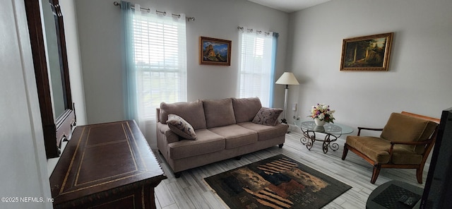 living room featuring light hardwood / wood-style floors