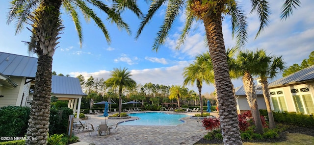 view of pool with a patio area