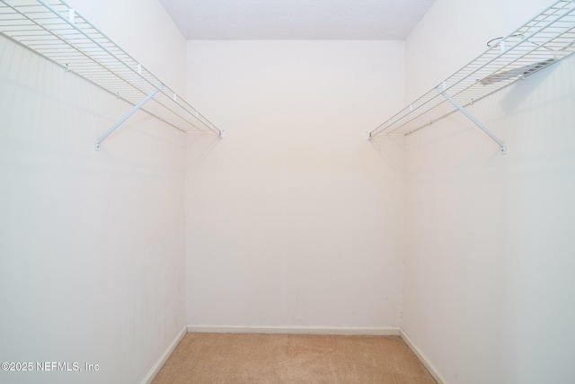 spacious closet with light carpet