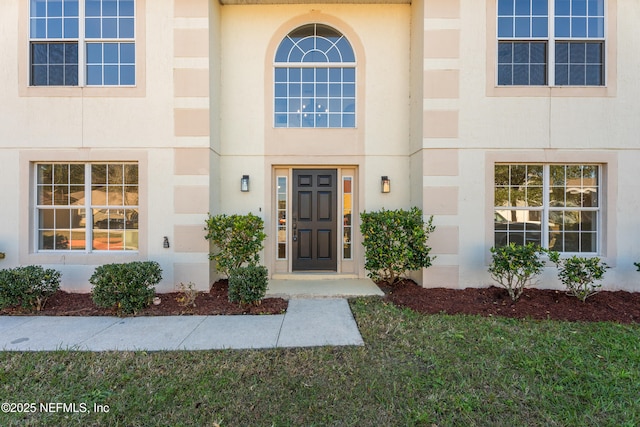 view of exterior entry with a yard and stucco siding