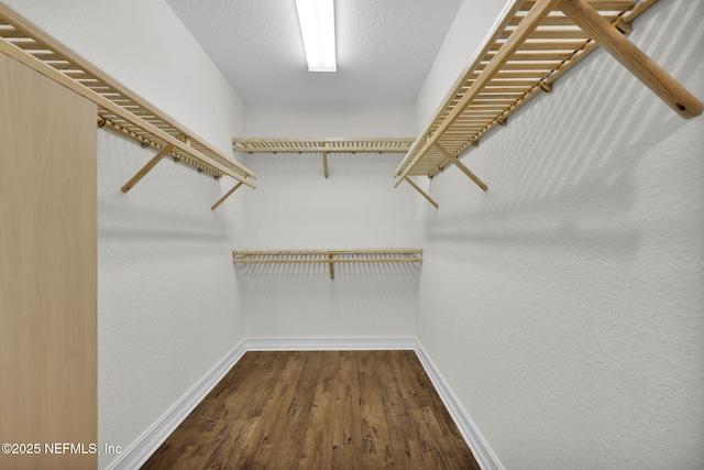 walk in closet with hardwood / wood-style floors