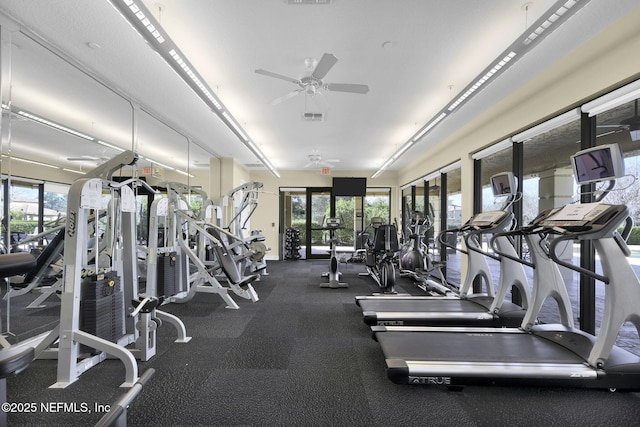 gym featuring ceiling fan and a healthy amount of sunlight