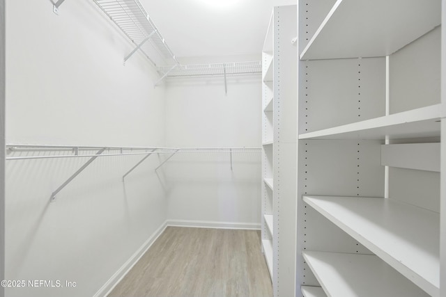 walk in closet featuring light hardwood / wood-style floors