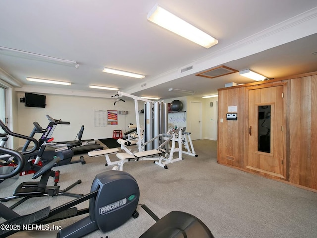 workout area with carpet