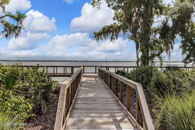 56 Footbridge Rd, Saint Johns, FL 32259 - photo 73