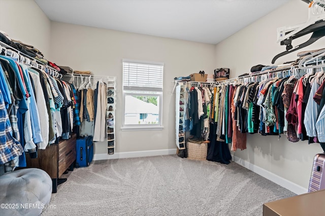 walk in closet featuring carpet floors