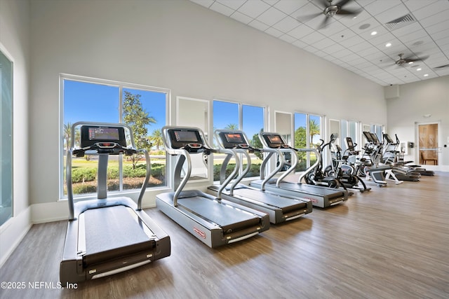 gym featuring a drop ceiling, wood-type flooring, ceiling fan, and a high ceiling