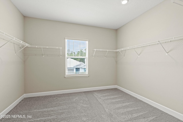 321 Marquesa Cir, Saint Johns, FL 32259 - walk in closet with carpet