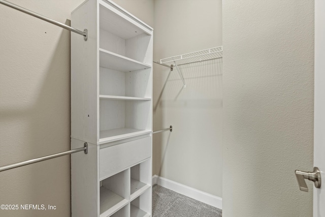 321 Marquesa Cir, Saint Johns, FL 32259 - walk in closet featuring carpet