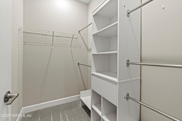 321 Marquesa Cir, Saint Johns, FL 32259 - spacious closet with carpet flooring