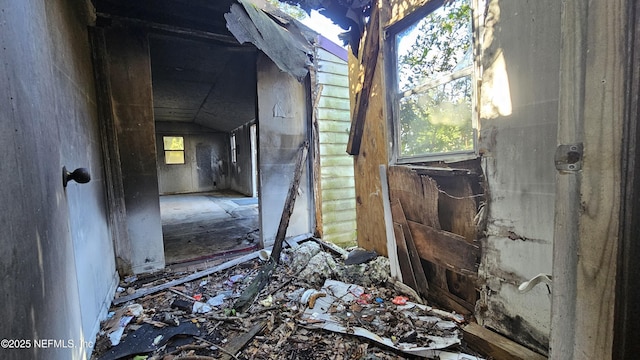 miscellaneous room with vaulted ceiling