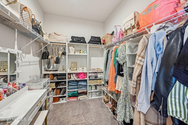 spacious closet with carpet