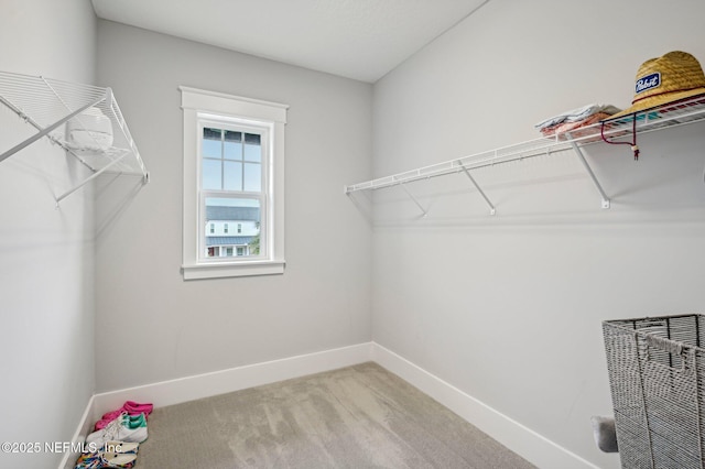 walk in closet featuring carpet