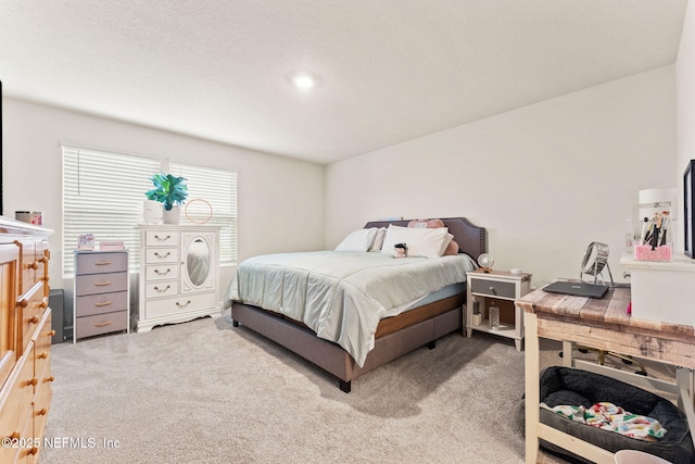 bedroom with carpet floors