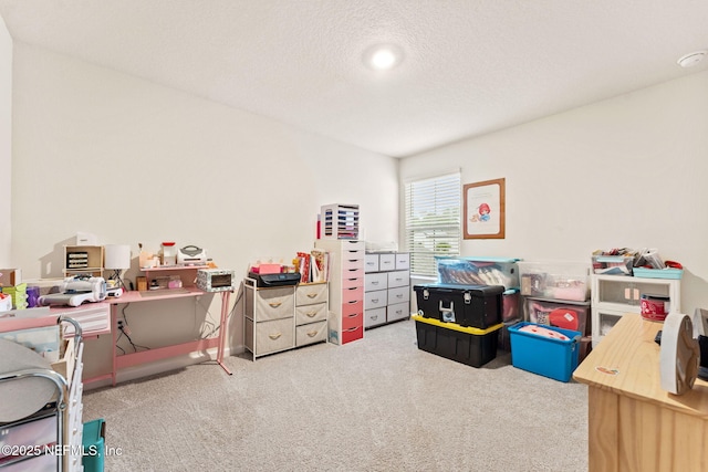 playroom featuring carpet and a textured ceiling