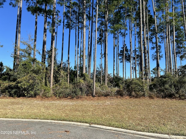 85282 Napeague Dr, Fernandina Beach FL, 32034 land for sale