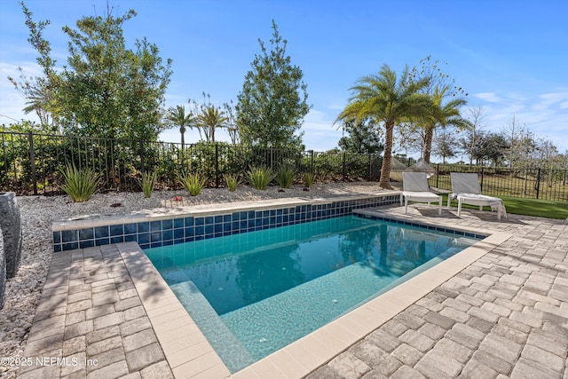 view of swimming pool featuring a patio area