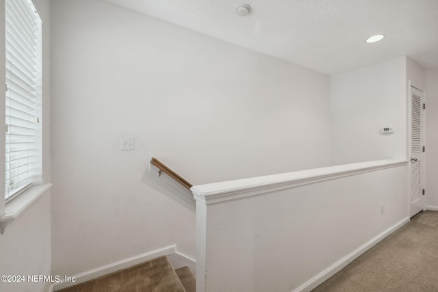 stairway featuring carpet flooring