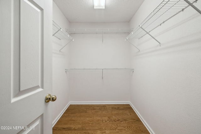 spacious closet featuring hardwood / wood-style floors