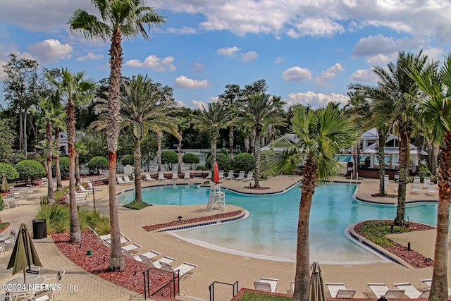 view of swimming pool with a patio