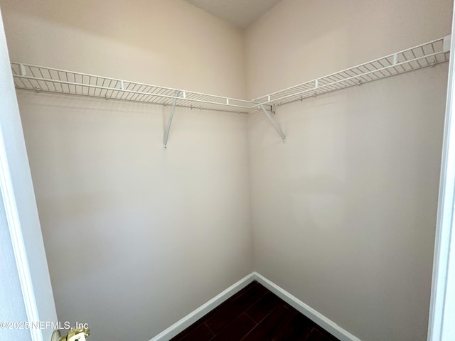 walk in closet with hardwood / wood-style flooring