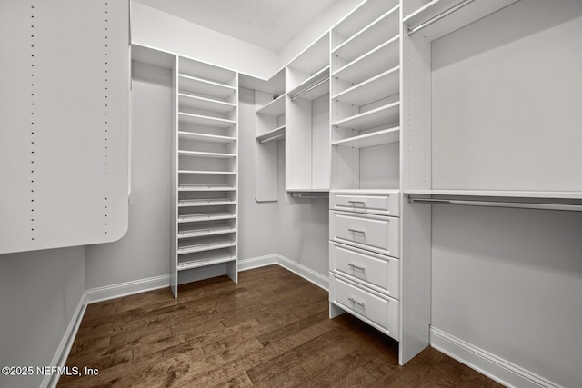 walk in closet featuring dark hardwood / wood-style flooring