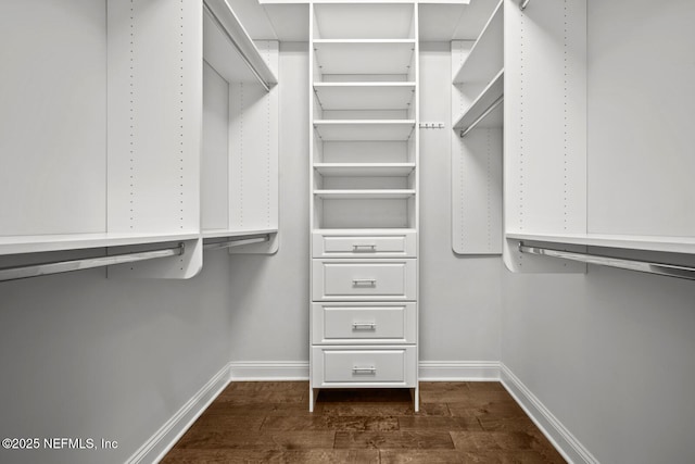 spacious closet with dark hardwood / wood-style floors