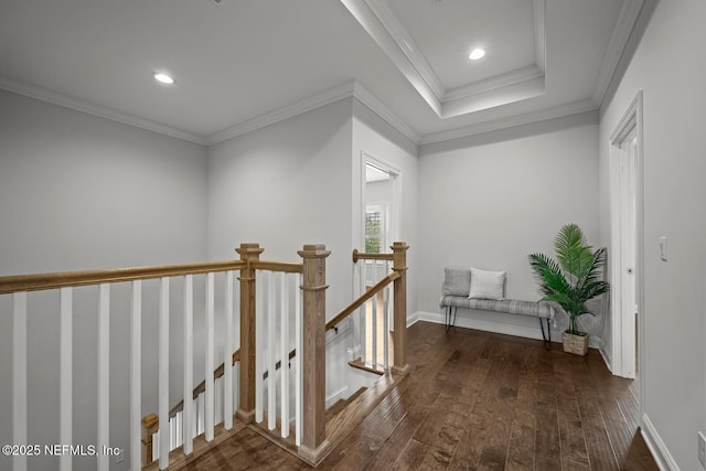 corridor with a tray ceiling, crown molding, and dark hardwood / wood-style floors