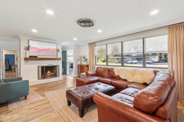 living room featuring a healthy amount of sunlight, ornamental molding, and light hardwood / wood-style flooring