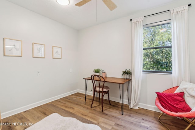 home office with ceiling fan and light wood-type flooring