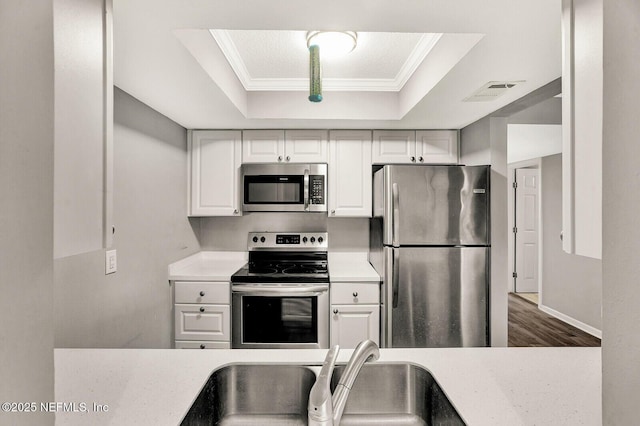 kitchen with stainless steel appliances, a raised ceiling, crown molding, sink, and white cabinets