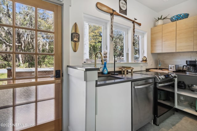 kitchen with dishwasher, range, backsplash, and sink