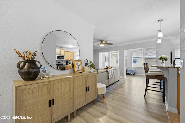 living room featuring ceiling fan, light hardwood / wood-style flooring, and crown molding