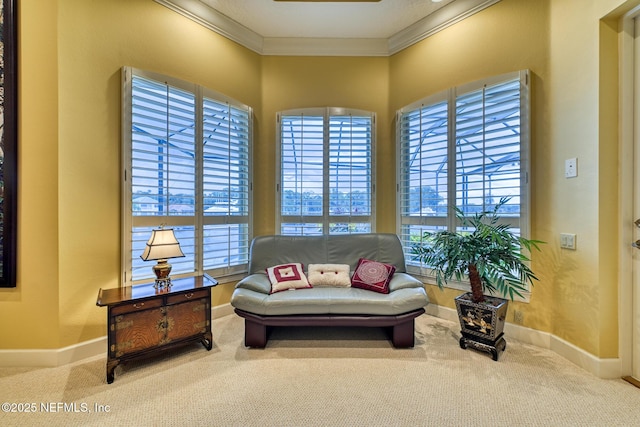 sitting room featuring carpet and crown molding