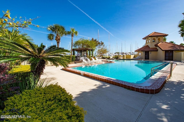 view of swimming pool featuring a patio and a pergola