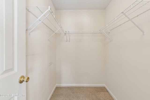 spacious closet with carpet floors