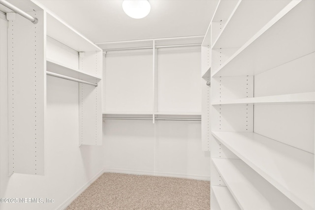 spacious closet with light colored carpet