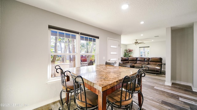 dining space with wood-type flooring, a textured ceiling, and ceiling fan