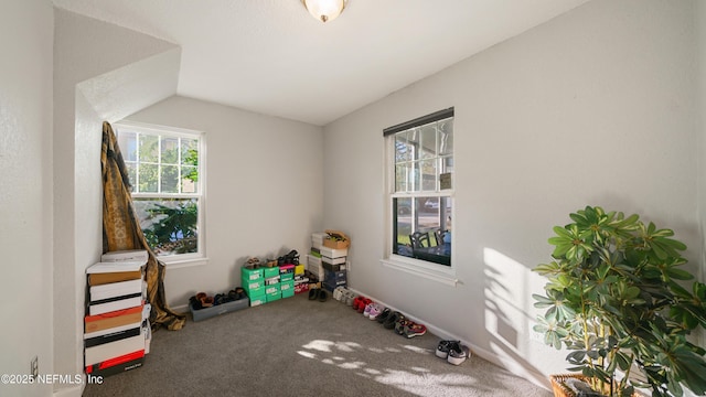 rec room featuring carpet floors and vaulted ceiling