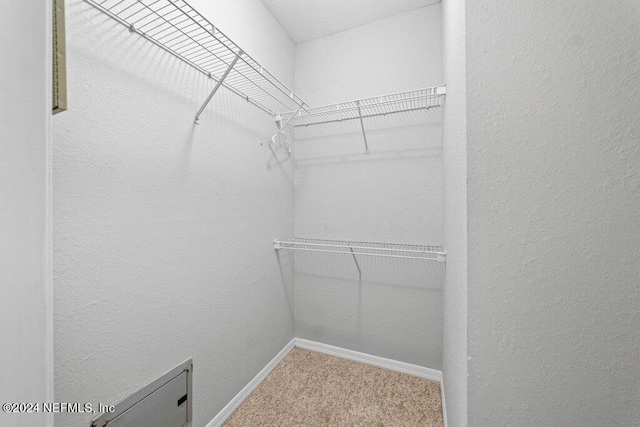 walk in closet with carpet floors